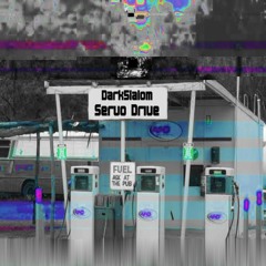 Servo Drive