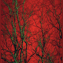 GardenOfMeDen.. (prod.schedar)