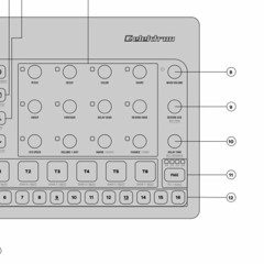 W>114 [S/O DR. CARRIE MADEJ]