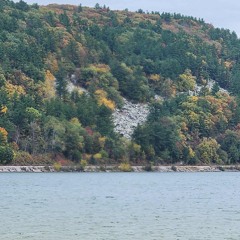 Caribbean Vibes (SQ) - Steven Blessinger.wav