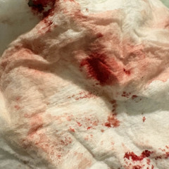 Pocket watch  (diss)