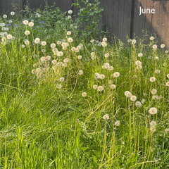 June