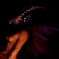 Dance Of The New Flesh (from 'Solve et Coagula' film)