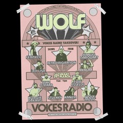 WOLF Music Voices Radio Takeover
