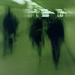 3d (sladerr + bekzmo)