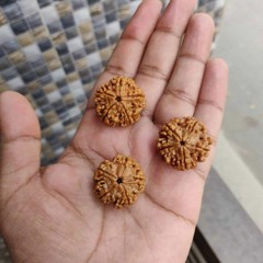 Types of Rudraksha and It’s Benefits