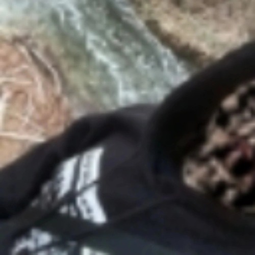 693'683'5'393638639''6''' ZLIT