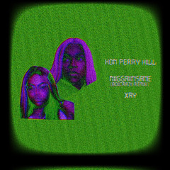 NIIGGAIINSANE (BOIICRAZII REMIX) (ft. Xay)