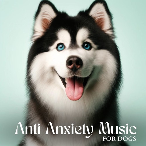 Stream Canine Soothness | Listen to Anti Anxiety Music for Dogs: Sleep ... - Impact Of Music Therapy On Anxious Dogs