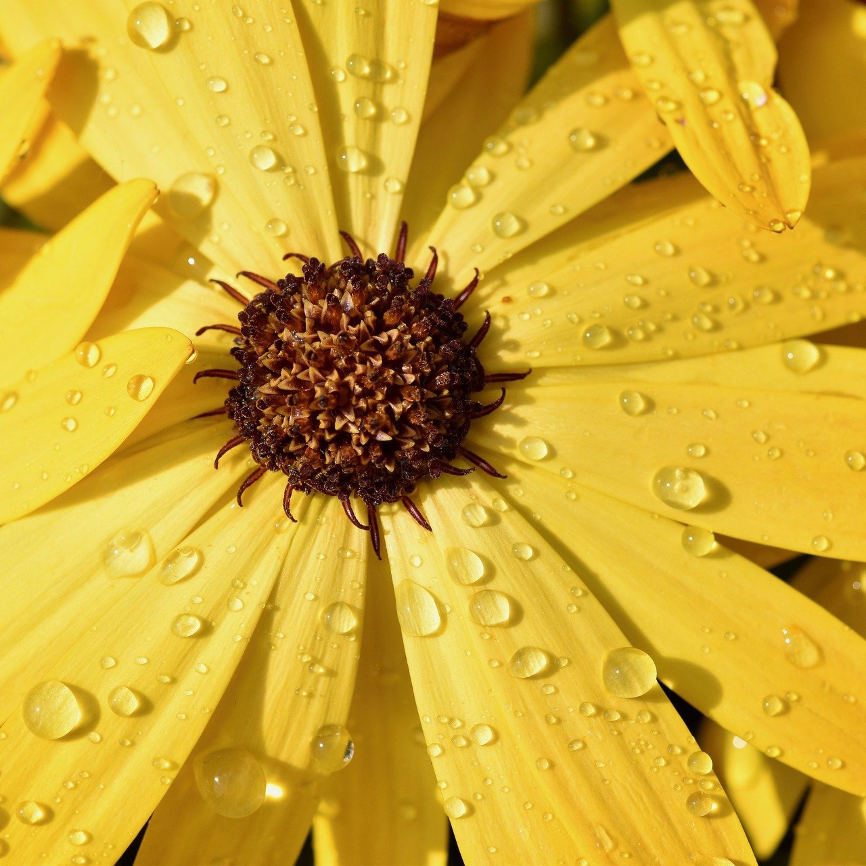 CC087: Advanced Tips for Analyzing Arguments Against God with Dr. Josh Rasmussen