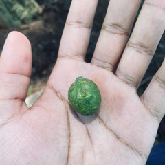 fall damage + unlimited respawn (demo)