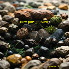 New Perspective (Steven T)