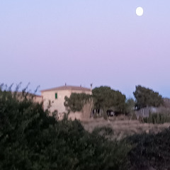 Auto Park Moon