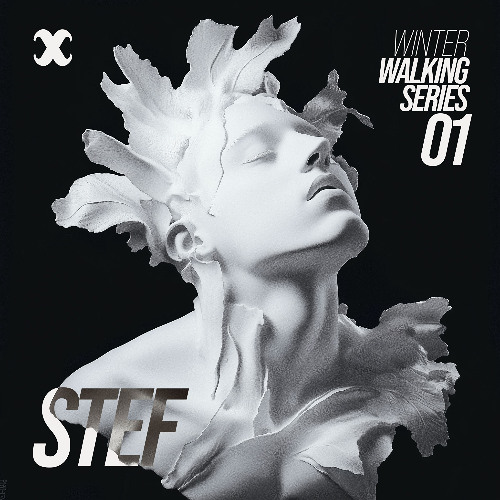 Winter Walking Series 01 - Progressive-house, Melodic Techno Djset