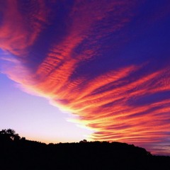 y'all ain't ready for a n**** like me