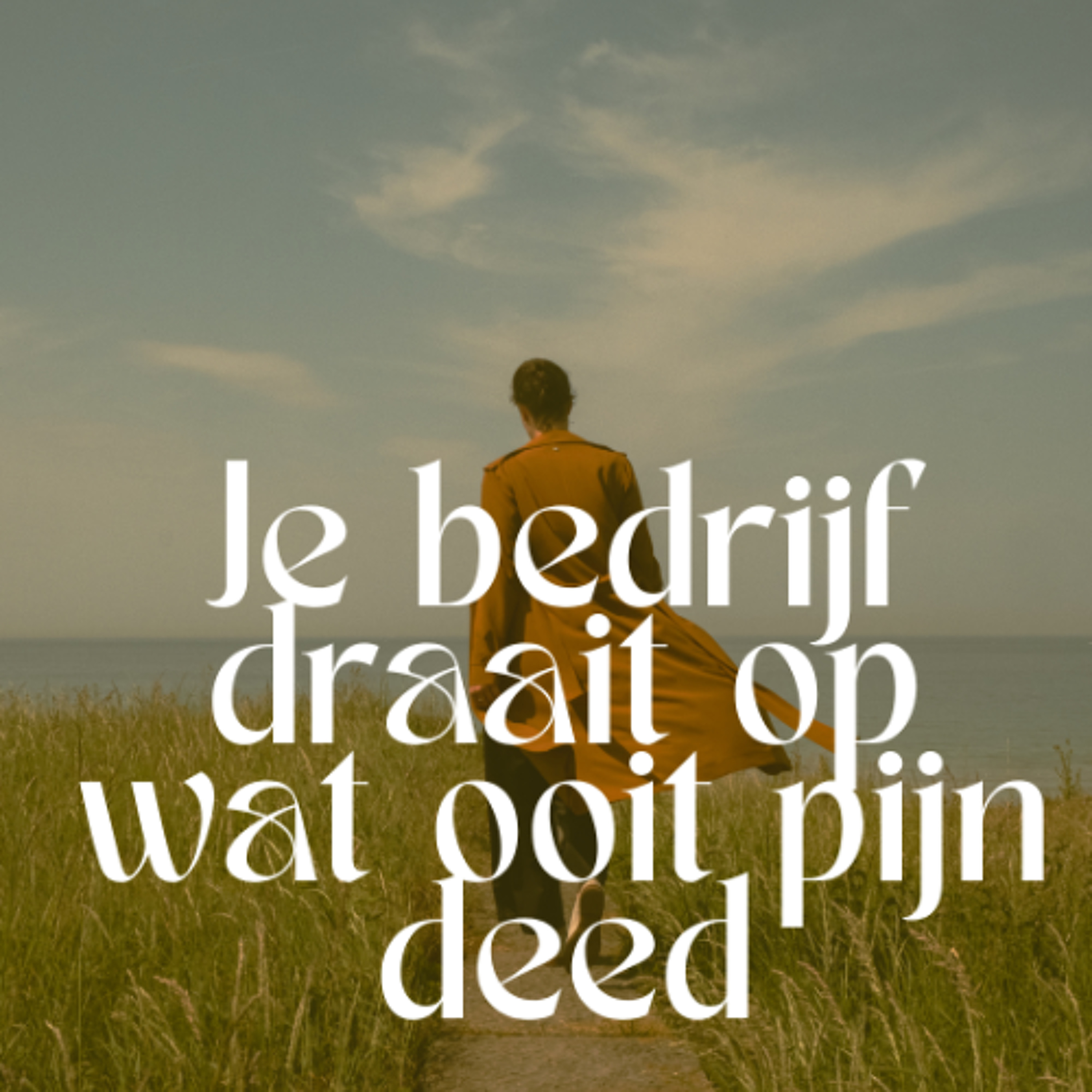 # 76 Je bedrijf draait op wat ooit pijn deed episode artwork