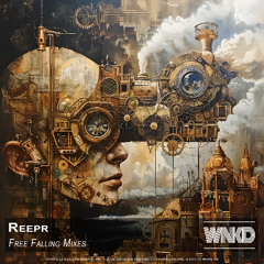 ReepR - Free Falling Mixes