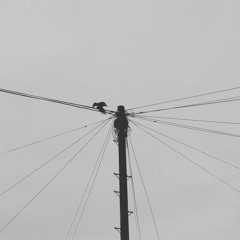 The Dreamer Manifesto