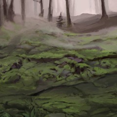 Autumn Forest