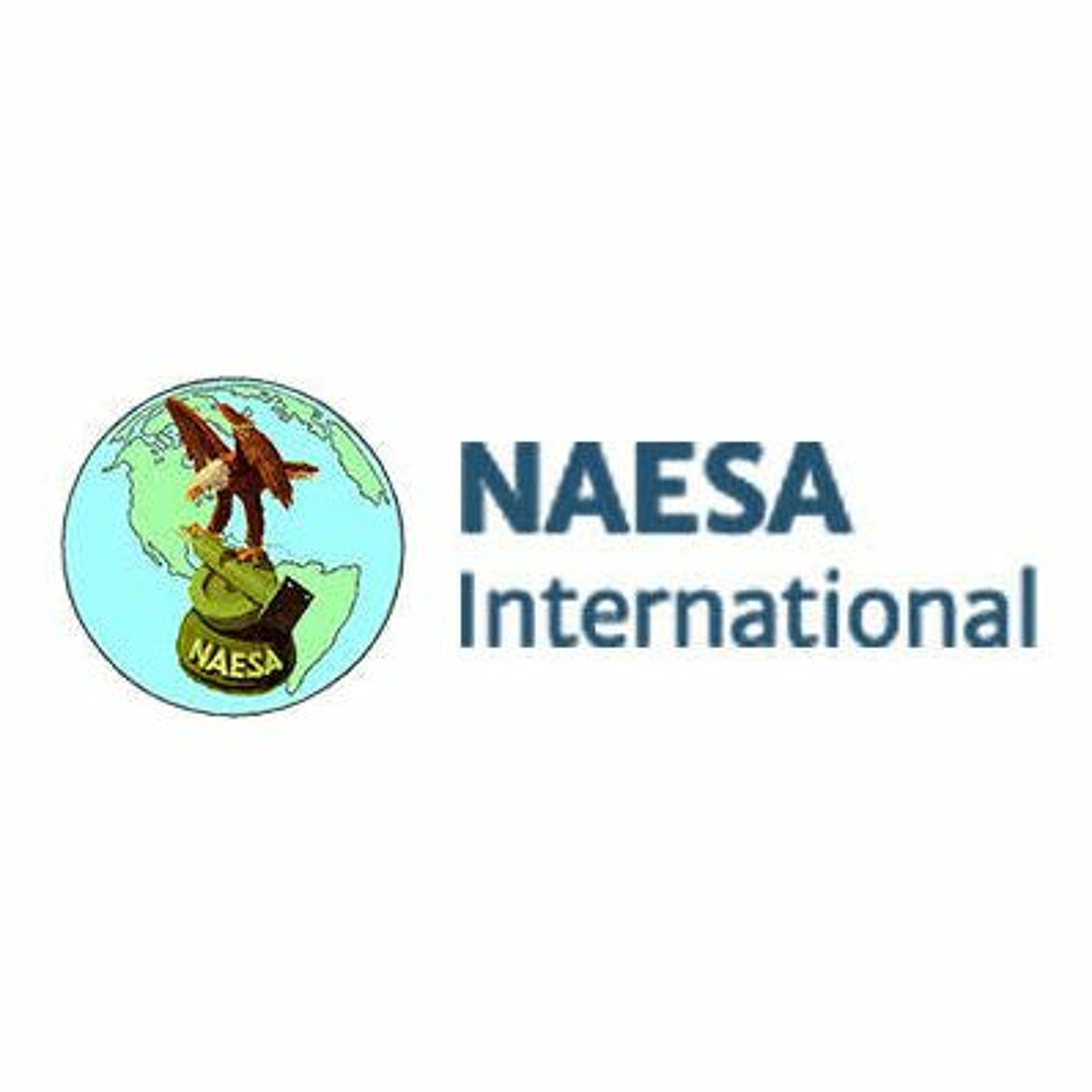 Borwey Appointed Naesa International Executive Director episode artwork