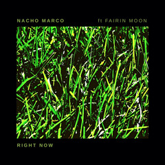 Right Now (Radio Mix) [feat. Fairin Moon]