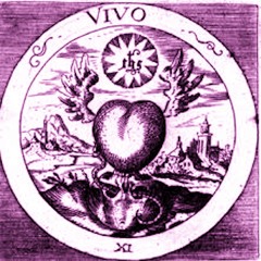 locked *nightcore* (slowhoe)