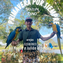 SET EN HONOR A JULIAN ARBELAEZ (Primavera por siempre de Brayan Cano Dj)