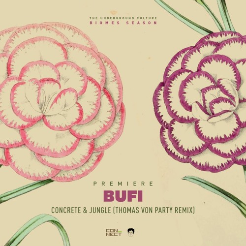 PREMIERE: Bufi - Concrete & Jungle (Thomas Von Party Remix) [Belly Dance Services]