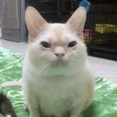 :3