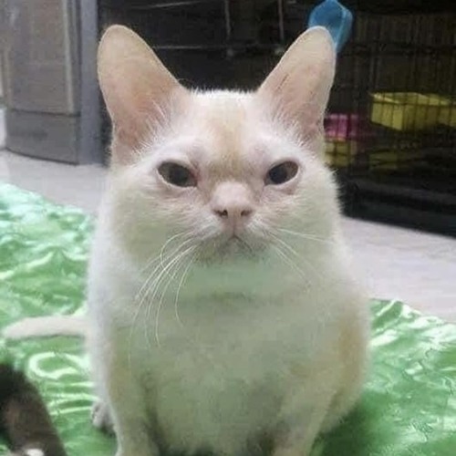 :3