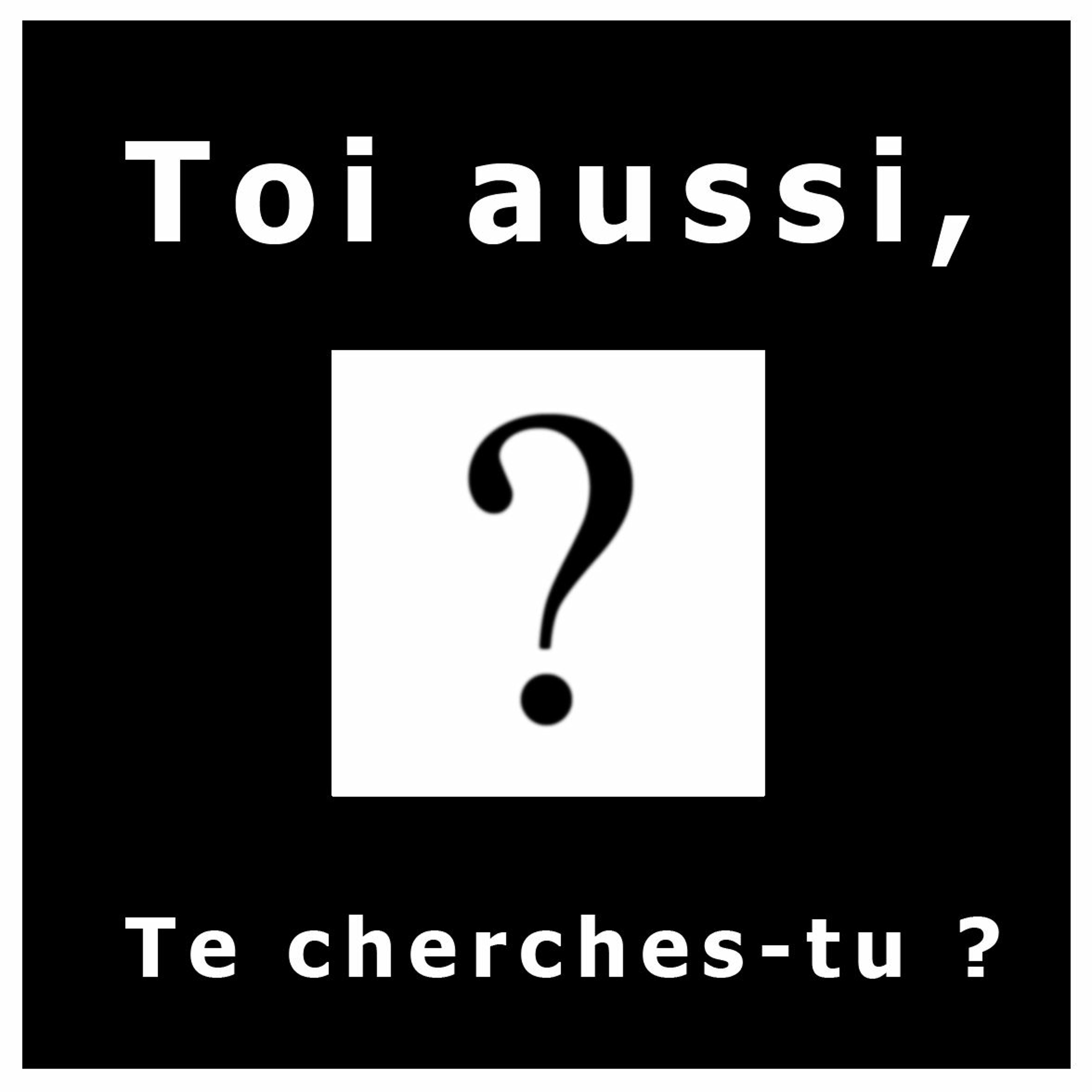 Compilation_Mes Pensées_Toi aussi, te cherches-tu ? (Beme)