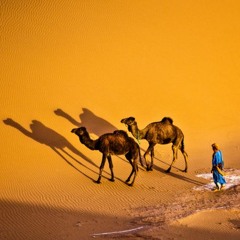 Desert Soul