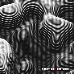 Sorry For The Noise