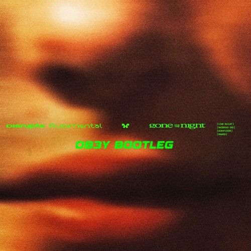 DISRUPTA X RUDIMENTAL - GONE FOR THE NIGHT (OB3Y BOOTLEG) [FREE DL]