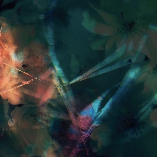 Cosmo Vitelli & Ivan Smagghe-flowers in the gutter pt 1