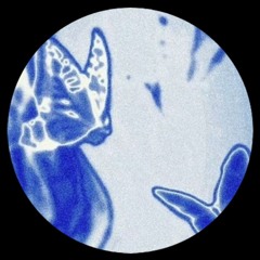 Mall Grab - This One Is For Rich Hoy (Unreleased)