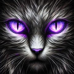 N8's Mid Tempo Mixes