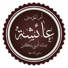 قصيدة فى الدفاع عن عرض الطاهرة العفيفة السيدة عائشة بنت الصديق . للأخ أحمد بن الشيخ محمد حسان
