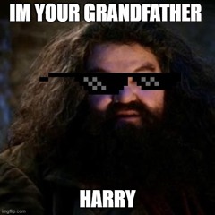 Your A Wizard Harry edit