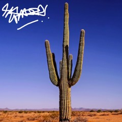 Cactus(beat/instrumental