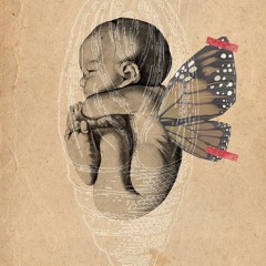La gestación de tus sueños