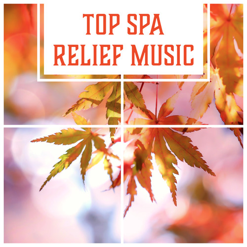 Fresh Air & Sauna Massage