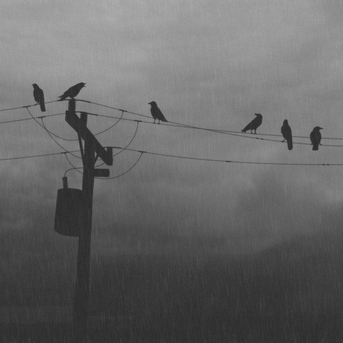Decalius - Lifeless (DSBM) (Ft. Saad).mp3