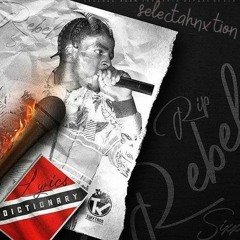 The last zess 😣🕊🕊 {rebel tribute}
