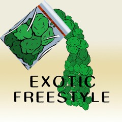 Exotic Freestyle (Remastered Version) (prod. mad4real)