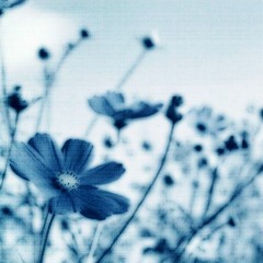 علي بن محمد - دنيا