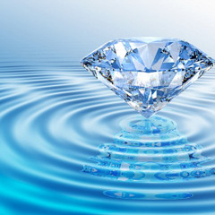 🏝️ Island Drip💧