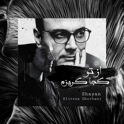 Alireza Ghorbani-Az To Koja Gorizam(Shayan Mashup)