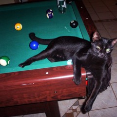 higher than i should be