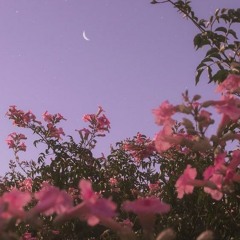 Daydream (Original Acoustic)